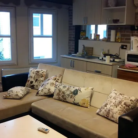 Coskun House Apartment Istanbul