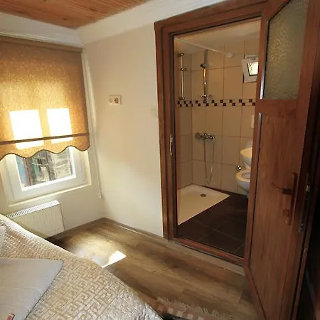 Apartment Coskun House