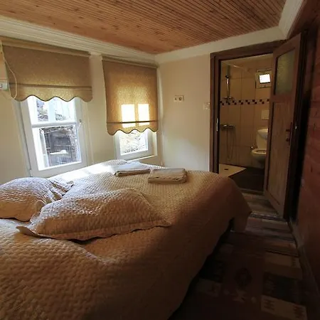 Coskun House