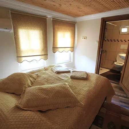 Apartman Coskun House *